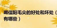 喝信陽毛尖的好處和壞處(喝信陽毛尖的好處有哪些)