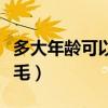 多大年齡可以做激光（多大年齡可以做激光脫毛）