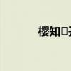 櫻知?開學暫退（櫻知葉留學）