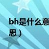 bh是什么意思啊?（網上常說的BH是什么意思）