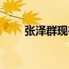 張澤群現在結婚了嗎（張澤群妻子）