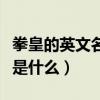 拳皇的英文名稱是什么名字（拳皇的英文名稱是什么）
