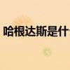 哈根達斯是什么店（哈根達斯是什么做的啊）