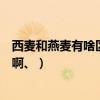 西麥和燕麥有啥區別（西麥的有機燕麥和純燕麥有什么區別啊、）