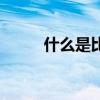 什么是比例式（什么是比利時壺）