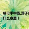 慈母手中線,游子身上衣的含義（慈母手中線游子身上衣這是什么意思）