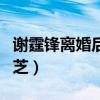 謝霆鋒離婚后談張柏芝（謝霆鋒離婚后談張柏芝）