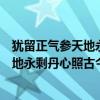 猶留正氣參天地永剩丹心照古今這是誰寫的（猶留正氣參天地永剩丹心照古今贊揚誰的）