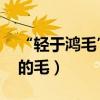 “輕于鴻毛”中的（“鴻毛“ 是哪一種動物的毛）