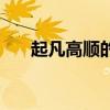 起凡高順的正確用法（起凡高順出裝）