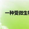 一種受微生物行為啟發的群體機器人方法