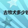 古牧犬多少錢一只在哪買（古牧犬多少錢）