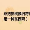 總把新桃換舊符指的是同一種東西嗎（總把新桃換舊符指的是一種東西嗎）