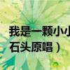 我是一顆小小的石頭原唱dj（我是一顆小小的石頭原唱）
