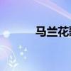 馬蘭花歌曲30首（馬蘭花歌曲）