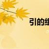 引的組詞是什么（引的組詞）