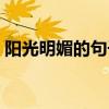 陽光明媚的句子唯美句（陽光明媚的近義詞）