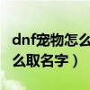 dnf寵物怎么轉移到另一個角色（DNF寵物怎么取名字）