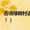 古詩綠樹村邊合青山郭外斜是什么意思（謝謝！）