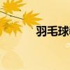 羽毛球教學視頻（羽毛球陳龍）