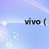 vivo（Xplay 這款手機怎么樣）