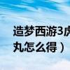 造夢西游3虎丸最佳品質掉落（造夢西游3虎丸怎么得）