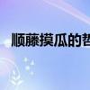 順藤摸瓜的哲學原理（順藤摸瓜的近義詞）