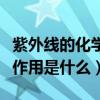 紫外線的化學作用和生理作用（紫外線的化學作用是什么）
