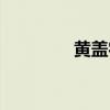 黃蓋字號叫什么（黃蓋字）