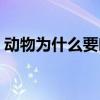 動物為什么要吃食物（動物為什么要冬眠呢）