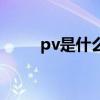 pv是什么工作（pv是什么意思呢）