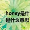 honey是什么意思中文翻譯怎么讀（honey是什么意思）