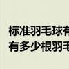 標準羽毛球有幾根球毛（一個標準的羽毛球上有多少根羽毛）