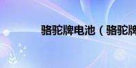 駱駝牌電池(駱駝牌登山包)