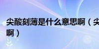 尖酸刻薄是什么意思啊(尖酸刻薄是什么意思啊)