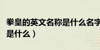 拳皇的英文名稱是什么名字(拳皇的英文名稱是什么)