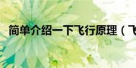 簡單介紹一下飛行原理(飛話是什么原理)