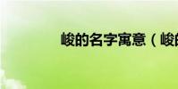 峻的名字寓意(峻的組詞)