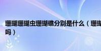 珊瑚珊瑚蟲珊瑚礁分別是什么(珊瑚是生物嗎 珊瑚是珊瑚蟲嗎)