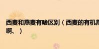 西麥和燕麥有啥區別(西麥的有機燕麥和純燕麥有什么區別啊、)