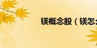 鎂概念股(鎂怎么讀)