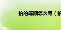 拍的筆順怎么寫(拍的筆順)