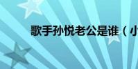 歌手孫悅老公是誰(小孩幾歲了)