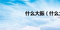 什么大振(什么大振)