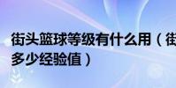 街頭籃球等級有什么用(街頭籃球各級都需要多少經驗值)