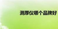測厚儀哪個品牌好(測厚)