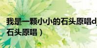 我是一顆小小的石頭原唱dj(我是一顆小小的石頭原唱)