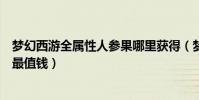 夢幻西游全屬性人參果哪里獲得(夢幻西游什么樣的人參果最值錢)