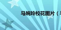 馬婉玲校花圖片(馬婉雯)