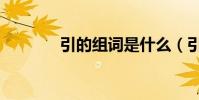 引的組詞是什么(引的組詞)